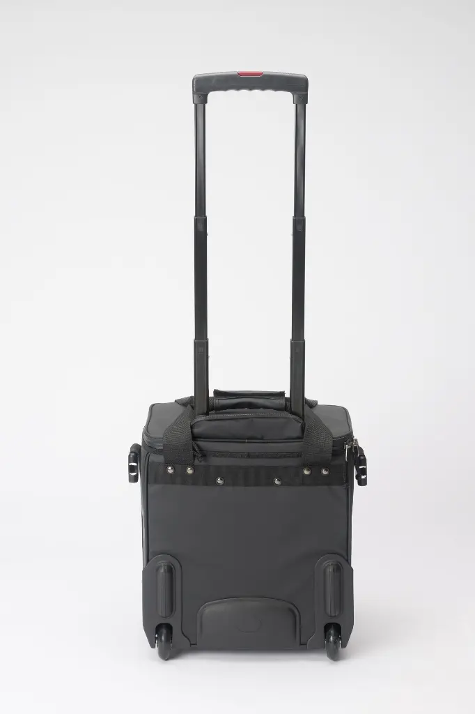 backview 3.webp