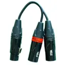 WELX CCF | x1  XLR F / x2 XLR M Black